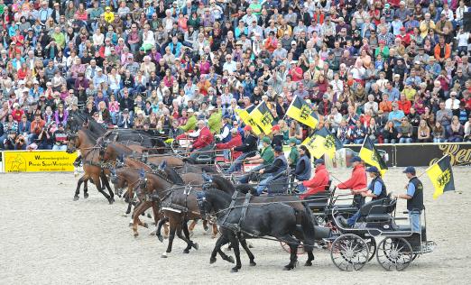 Foto: Mit wehenden Fahnen. Die Zweispännerquadrille mit 16 Gespannen aus Baden-Württemberg - Fotograf: Kube
