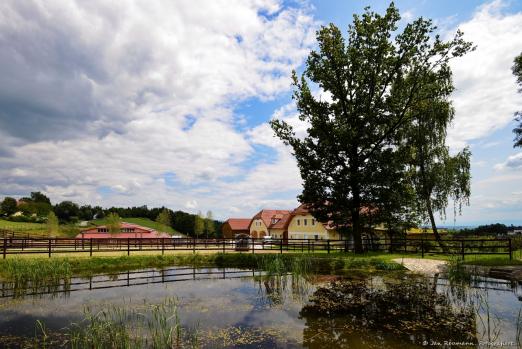 Foto: Gestüt unter den Birken - Fotograf: Jan Reumann