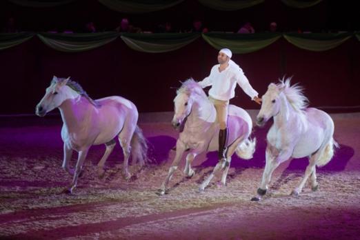 Foto: Giona-Show beim FEST der PFERDE GRAZ - Fotograf: Fotoagentur Dill