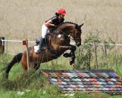 Foto: Corina Neuberger auf Grandioso N in Neckargemünd 2012 - Fotograf: Sandra Weeber
