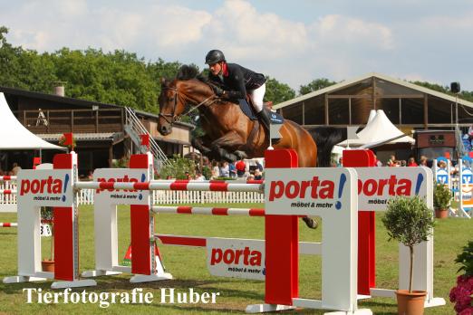 Foto: Spaniens Guillermo Gonzalez-Alonso gewinnt Qualifikation zum Großen Preis von Schenefeld mit Quitana - Fotograf: Tierfotografie Huber