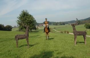 Foto: "Hirsche" auf der Isinger Strecke - Fotograf: Konstantin Magalow