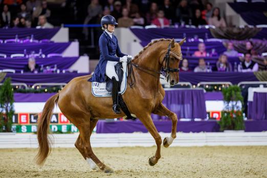 Foto: Sheldon Cooper gibt immer 100 Prozent: Sieg in der Einlaufprüfung zum Finale des Louisdor-Preis - Fotograf: sportfotos-lafrentz.de