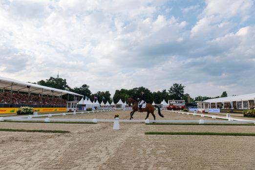 Foto: Im vergangenen Jahr lockte die WM zahlreiche Zuschauer nach Verden - Fotograf: Lafrentz