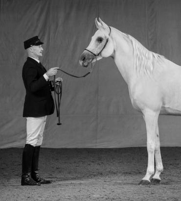 Foto: Künstler im Sattel und an der Leinwand: Hauptsattelmeister Horst König, hier mit dem Elitehengst Dschehim ox aus der Weil-Marbacher Vollblutaraberzucht - Fotograf: Kube