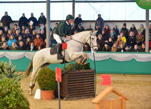 Foto: Große Konkurrenz für den zweimaligen Sieger der Hallen-Vielseitigkeit, Jens Hoffrogge bei Gahlen 2016. Erstmals ist Olympiasieger Michael Jung dabei - Fotograf: Fotodesign Große-Feldhaus