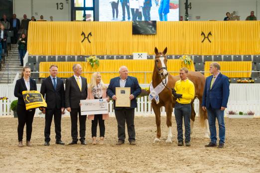 Foto: Dorina ist Hannoveraner Stute des Jahres. Dem Züchter Wilhelm Leymann (5.v.r.) und seiner Tochter Jasmin gratulieren (v.l.n.r.) Isabell Bäßmann, Michael Edzards, Hans-Henning von der Decken und Hartmut Wilking - Fotograf: Hannoveraner Verband Foto: Dorina ist Hannoveraner Stute des Jahres. Dem Züchter Wilhelm Leymann (5.v.r.) und seiner Tochter Jasmin gratulieren (v.l.n.r.) Isabell Bäßmann, Michael Edzards, Hans-Henning von der Decken und Hartmut Wilking - Fotograf: Hannoveraner Verband