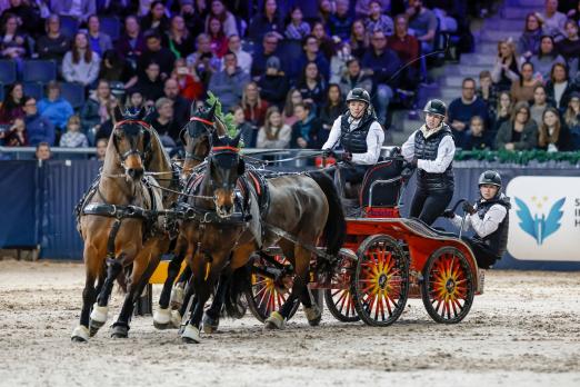 Foto: Mareike Harm vertritt bei der PARTNER PFERD die deutschen Farben im FEI Driving World Cup™ Final. - Fotograf: Stefan Lafrentz