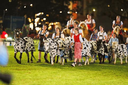 Foto: Schaubild Heidi auf der Wiesbadener Pferdenacht - Fotograf: WRFC, Toffi