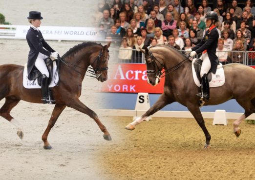 Foto: Defending Reem Acra champions, Germany's Helen Langehanenberg and Damon Hill NRW, will face the toughest of opposition from Olympic and European champions Charlotte Dujardin and Valegro from Great Britain at next week's Reem Acra FEI World Cup™ Dressage 2013/2014 Final at Lyon, France. - Fotograf: FEI/Karl Heinz Frieler, Kit Houghton