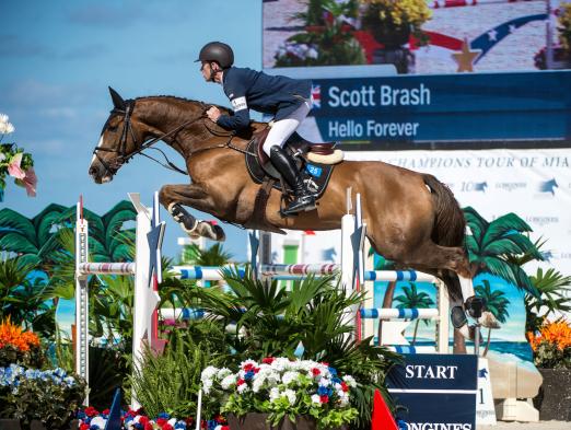 Foto: Global Champions Tour-Sieger Hello Forever/Scott Brash bereichert die Oldenburger Elite-Fohlenauktion mit seiner Nichte Hello Beauty - Fotograf: Dragoo