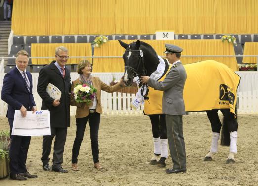 Foto: Hengst des Jahres Rotspon - Fotograf: Ernst