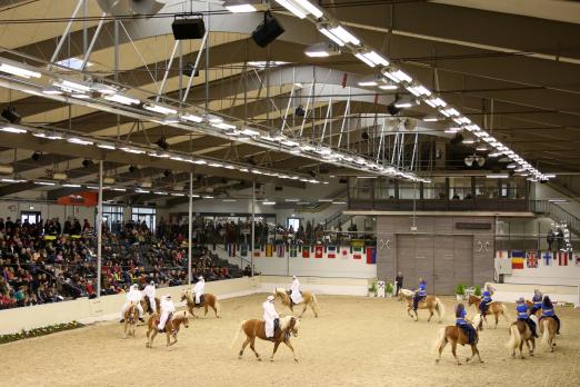 Foto: Hengstschau Ponyverband Hannover 2014: Quadrille der Haflingerfreunde Cuxhaven mit Beduinen und Bauchtänzerinnen - Fotograf: Ponyverband Hannover/ Pantel