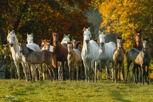 Foto: Marbach ist zu jeder Jahreszeit einen Ausflug wert - Fotograf: Archiv Boiselle Foto: Marbach ist zu jeder Jahreszeit einen Ausflug wert - Fotograf: Archiv Boiselle