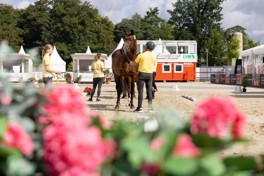 Foto: Herzlich willkommen bei der Herwart von der Decken Schau in Verden - Fotograf: Hannoveraner Verband