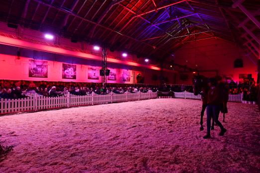 Foto: Premiere nach Maß - die Eliteauktion der Reitpferde in der historischen Reithalle war ein voller Erfolg - Fotograf: Janne Bugtrup Foto: Premiere nach Maß - die Eliteauktion der Reitpferde in der historischen Reithalle war ein voller Erfolg - Fotograf: Janne Bugtrup