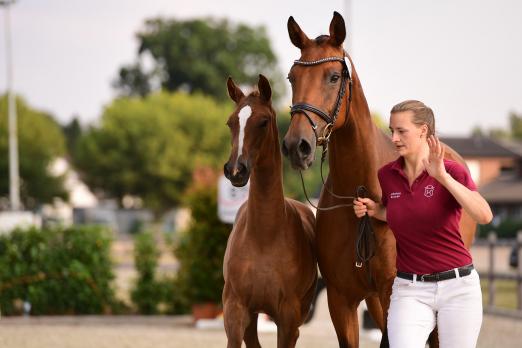 Foto: Die Holsteiner Jungzüchter, hier Johanna Boysen, stellten anlässlich der Elite-Auktion die Fohlen vor und organisierten den Verkaufstag - Fotograf: Janne Bugtrup