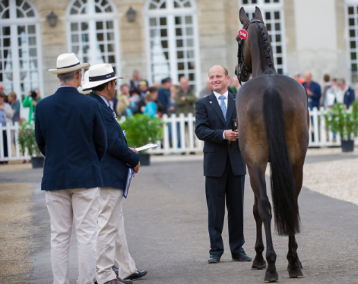 Defending Eventing world champion Michael Jung (GER) and the nine-year old mare FisherRocana FST pictured at the first horse inspection at the historic Haras du Pin today. (Trevor Holt/FEI) 