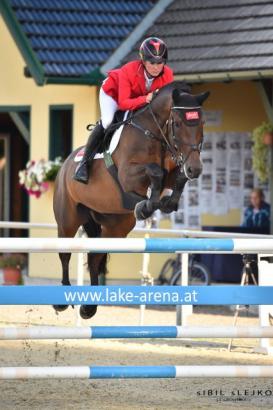 Foto: Stakkato Gold-Nachkommen Stakki´s Jumper - Fotograf: Sibil Slejko