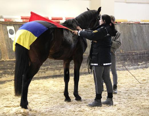 Foto: Sicher ist sicher – auch bei der Polizei. Neben der sportlichen Eignung zeichnen sich die Marbacher Auktionspferde auch durch besonders positive Charakter- und Temperamentseigenschaften aus. - Fotograf: Gille