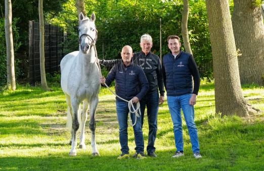 Foto: Zuccero HV v. Zirocco Blue mit Uwe Benzin, Ludger Beerbaum und Felix Flinzer (v.l.n.r.) - Foto: Sebastian Bolse