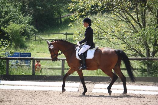 Foto: Katharina Woodland auf Herkules / Dressur A - Fotograf: Sabine Mack