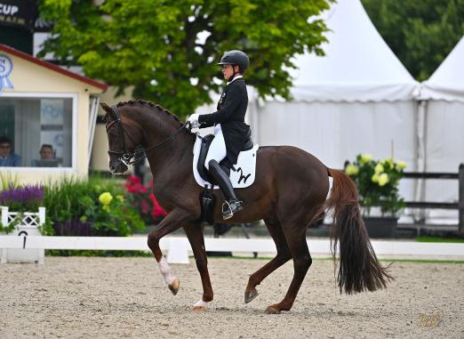 Foto: Mit dem zehnjährigen Hengst Viva Gold OLD ließ Isabell Werth im CDI4* Grand Prix Special um den „Let's get hooved“-Preis keine Zweifel mehr aufkommen - Fotograf: reitsport-hellmann.de
