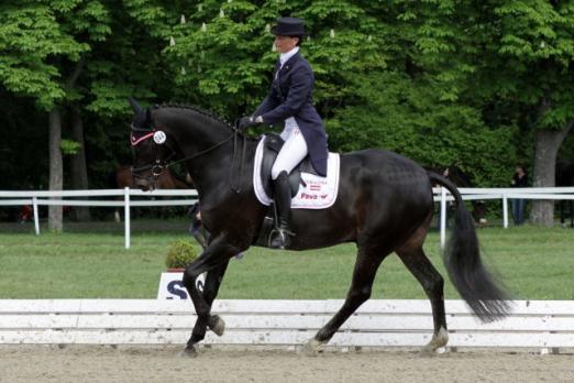Foto: Platz zwei im CIC2* nach der Dressur: Michaela Iglhauser (AUT/S) auf Heraldik's Heart - Fotograf: Foto Liebmann - sportfotoliebmann.mz1.at