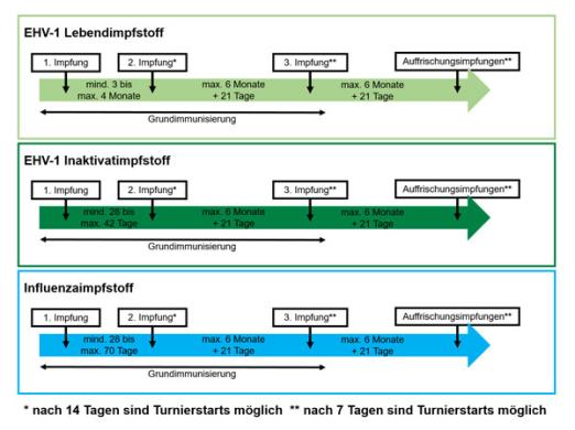 Zum Vergrößern einfach aufs Bild klicken!