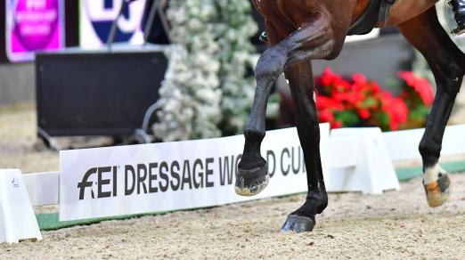 Foto: Wenzel Schmidt, Christian Steiner und ihr Team wollen die Amadeus Horse Indoors trotz Gegenwind vom Verband durchführen - Fotograf: © Daniel Kaiser 