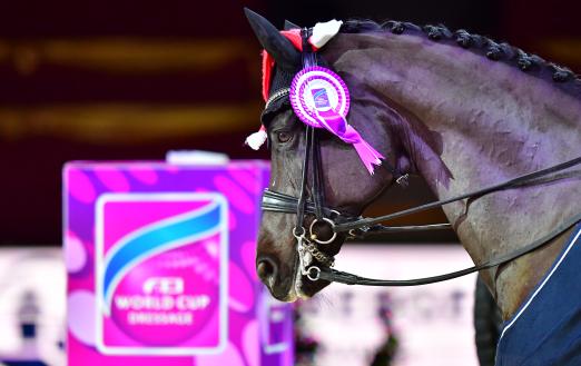 Foto: Ende gut, alles gut - Die Amadeus Horse Indoors 2023 ist fixiert, die Weltcup-Bewerbungen für die kommenden Jahre abgeschickt - Fotograf: © Daniel Kaiser