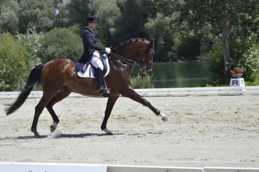 Foto: Sieger Uwe Schwanz mit Hermes