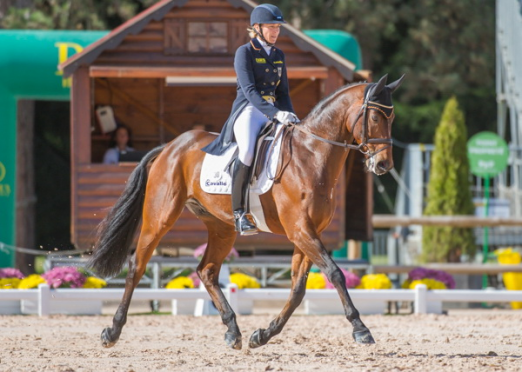 Ingrid Klimke (GER) and Horseware Hale Bob, joint leaders with William Fox-Pitt (GBR) and Parklane Hawk after today's Dressage phase, are ready to take on tomorrow's Cross Country at Les Etoiles de Pau, the opening leg of the FEI Classics™ 2014/2015. (Trevor Holt/FEI) 