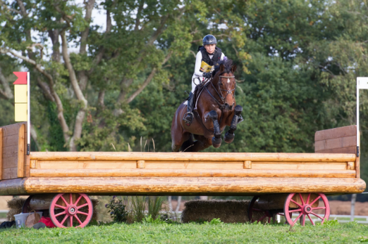 Ingrid Klimke (GER) and Horseware Hale Bob, winners of the first leg of FEI Classics™ 2014/2015 in Pau (FRA), and currently second on the leaderboard, are now set to tackle the fourth leg of the series at the Mitsubishi Motors Badminton Horse Trials. (Trevor Holt/FEI) 