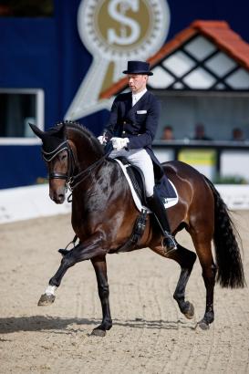 Foto: Dressurreiter Jan-Dirk Gießelmann im Sattel seines Hannoveraner Wallachs Real Dancer FRH (Robin Royal x De Niro) - Fotograf: Stefan Lafrentz