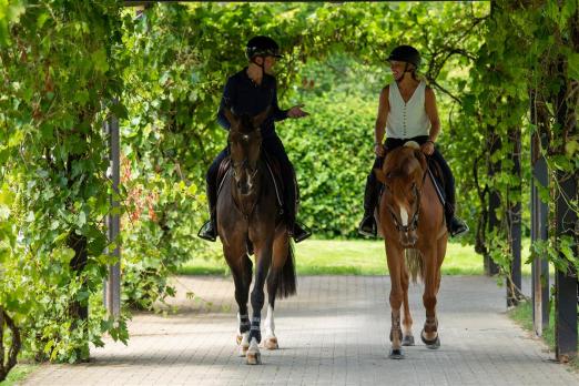 Foto: Jens Wawrauschek (r) und Christin Stoll (l) - Fotgraf: Jens Wawrauschek Horses