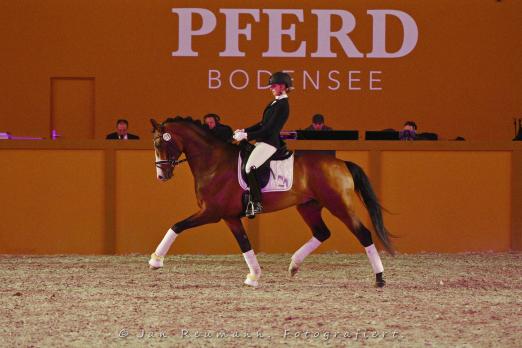 Foto: Johny Johnson auf der PFERD BODENSEE 2020 - Fotograf: Reumann