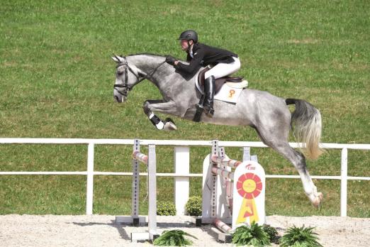 Foto: Vierjährig siegreich in einer Springpferdeprüfung: Warino, ein Sohn des Winningmood v.d. Arenberg. - Fotograf: Kiki Beelitz