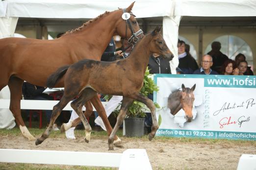 Foto: Preisspitze von Dynamic Dream/ Le Mans - Fotograf: Doris Matthaes