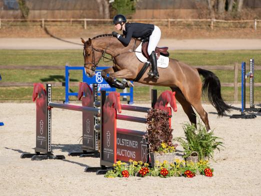 Foto: My Kanlina MPL v. Million Dollar avancierte zur Preisspitze der 40.Holsteiner Frühjahrsauktion. - Fotograf: Janne Bugtrup)