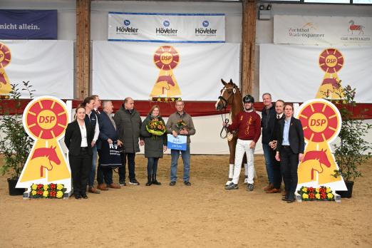 Foto: Siegerhengst von Sir Heinrich - Fotograf: Hubert Fischer 