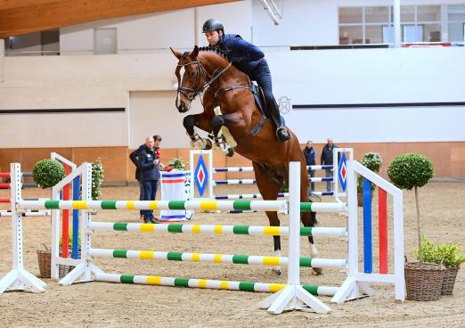 Foto: Der fünfjährige Keaton v. Kannan hat seine Sportprüfung in Münster-Handorf mit einer gewichteten Endnote von 9,06 abgeschlossen und wird beim Training mit Jos Lansink am Ostersonntag gezeigt - Fotograf: Janne Bugtrup