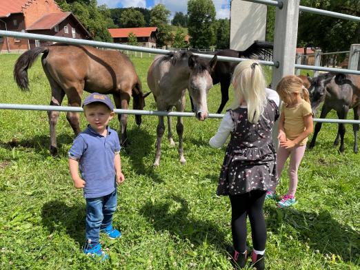 Foto: Kinder an der Koppel - Fotograf: Gille Eberhardt