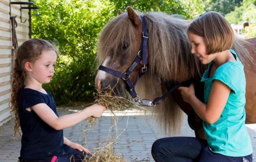 Foto: Die Nachfrage an kindgerechten Ponyreitschulen ist groß - Fotograf: Thomas Hellmann