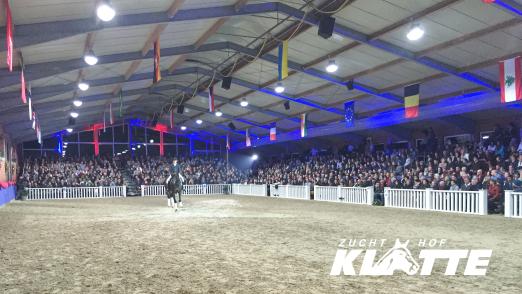 Foto: Impression eine Hengstvorführung des Zuchthof Klatte - Fotograf: Zuchthof Klatte