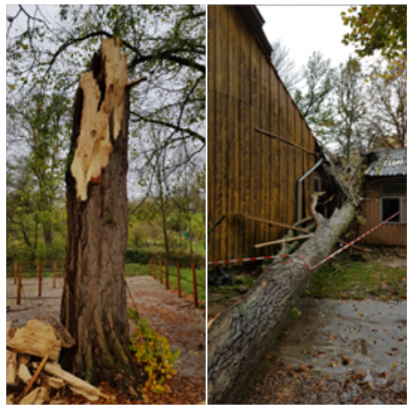 Foto: Sturmschaden vom 29.10.2017 - Fotograf: facebook-Seite Dressurstall Untere Körschmühle