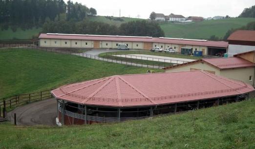Foto:Führanlage von Kraft, Gestüt Unter den Birken - Fotograf: Firma Kraft Führanlagen