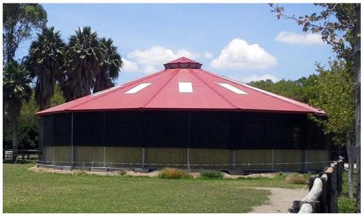 Foto: Longierhalle mit Decken-Führanlage in San Luis Potosi, Mexiko - Fotograf: Firma Kraft Führanlagen