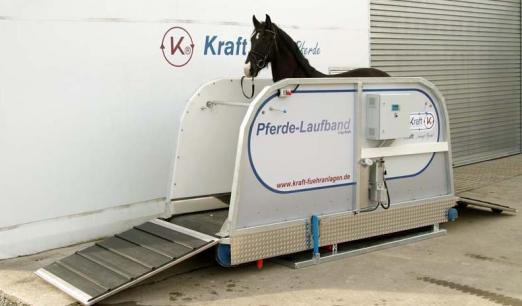 Foto: Das neue Kraft Pferde-Laufband - Fotograf: Firma Kraft Führanlagen
