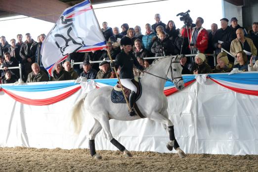 Foto: Schimmelhengst Calido mit Lisa Kowalski - Fotograf: Stefan Lafrentz 